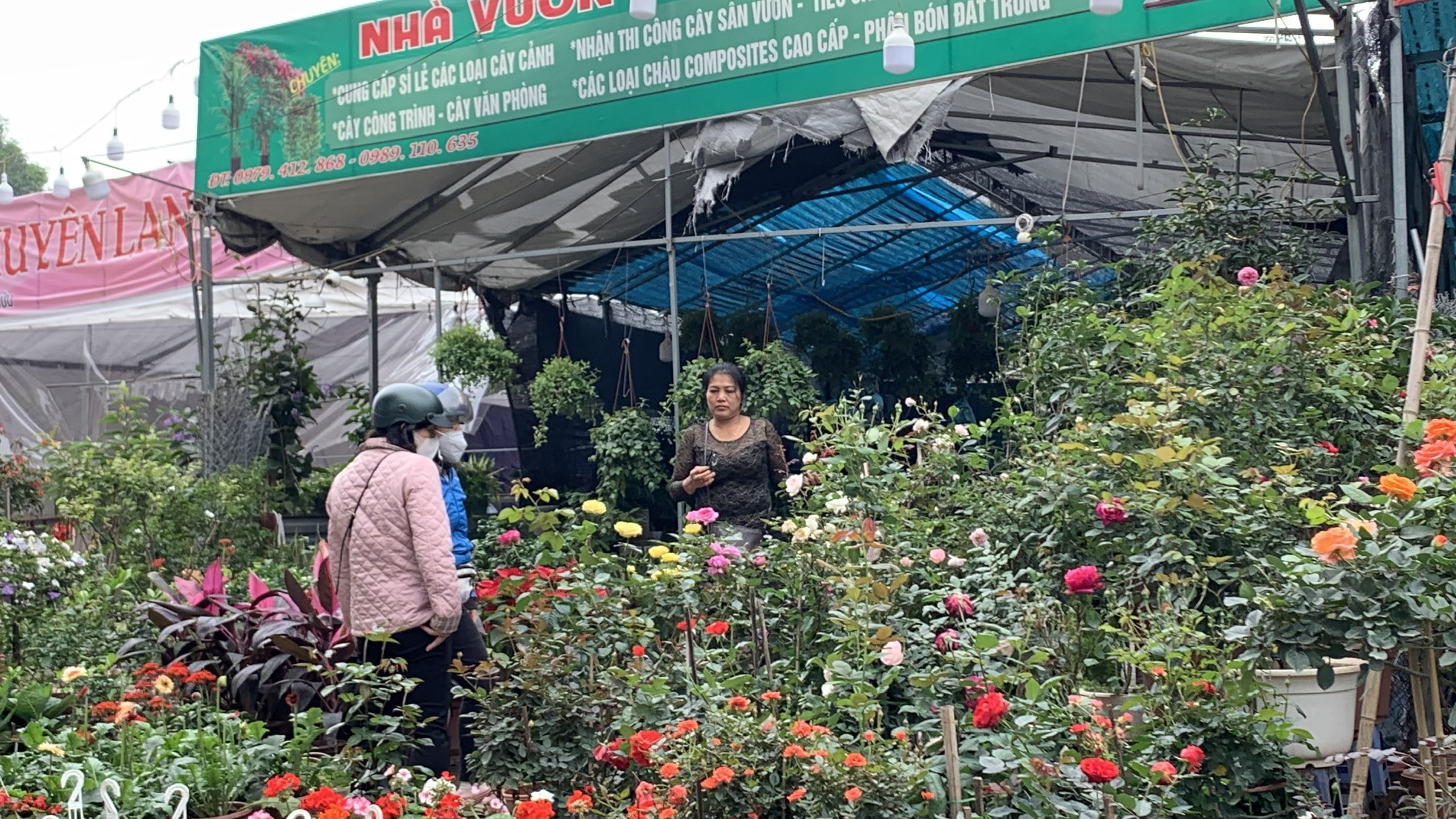 Hà Nội: Sôi động thị trường hoa, cây cảnh - ảnh 1