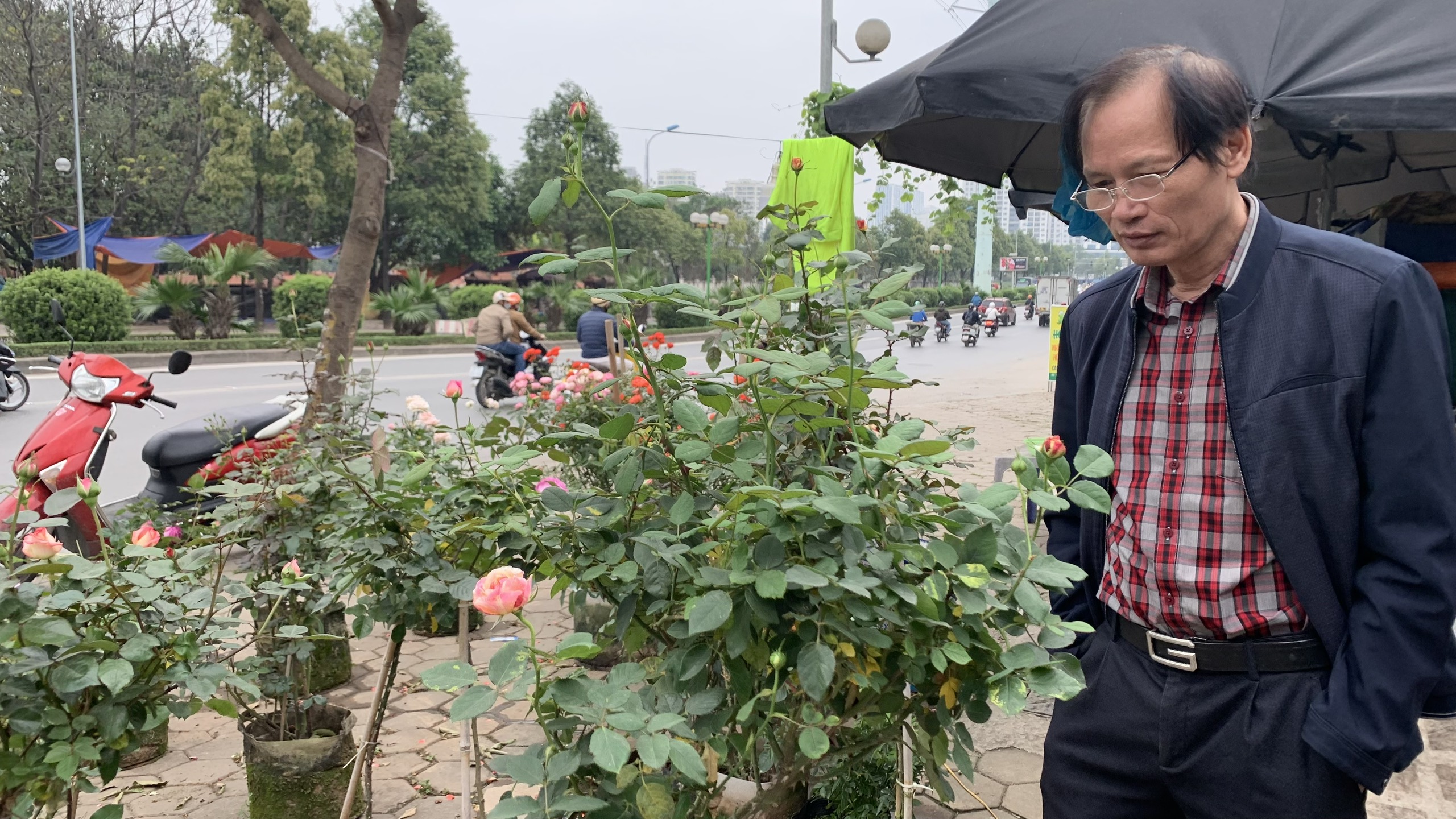Hà Nội: Sôi động thị trường hoa, cây cảnh - ảnh 3