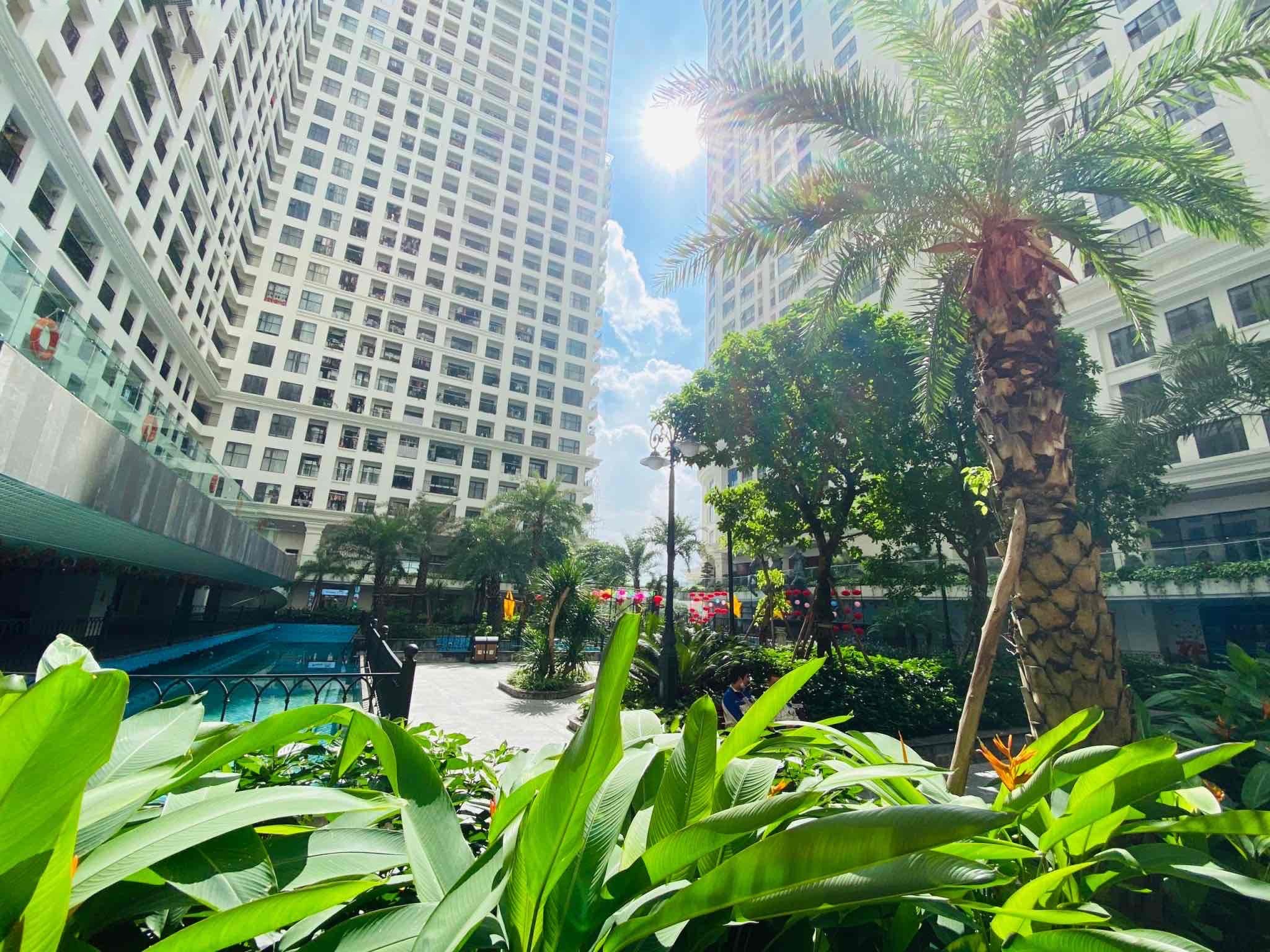 Một bước chân ngàn tiện ích - đặc quyền của cư dân nhà Sunshine - ảnh 1