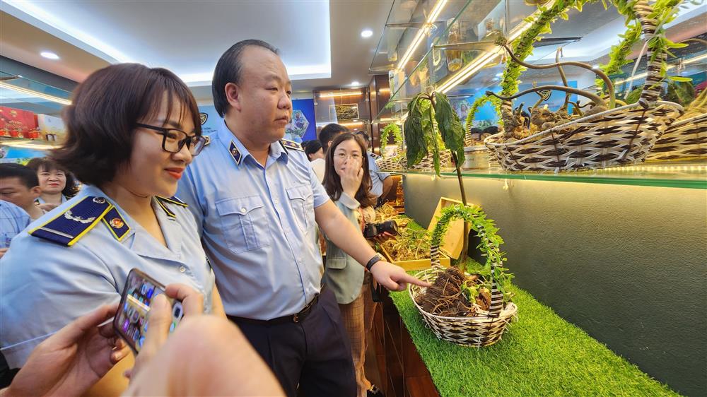 Tuần lễ “Nhận diện đúng sâm Ngọc Linh trên thị trường” - ảnh 1