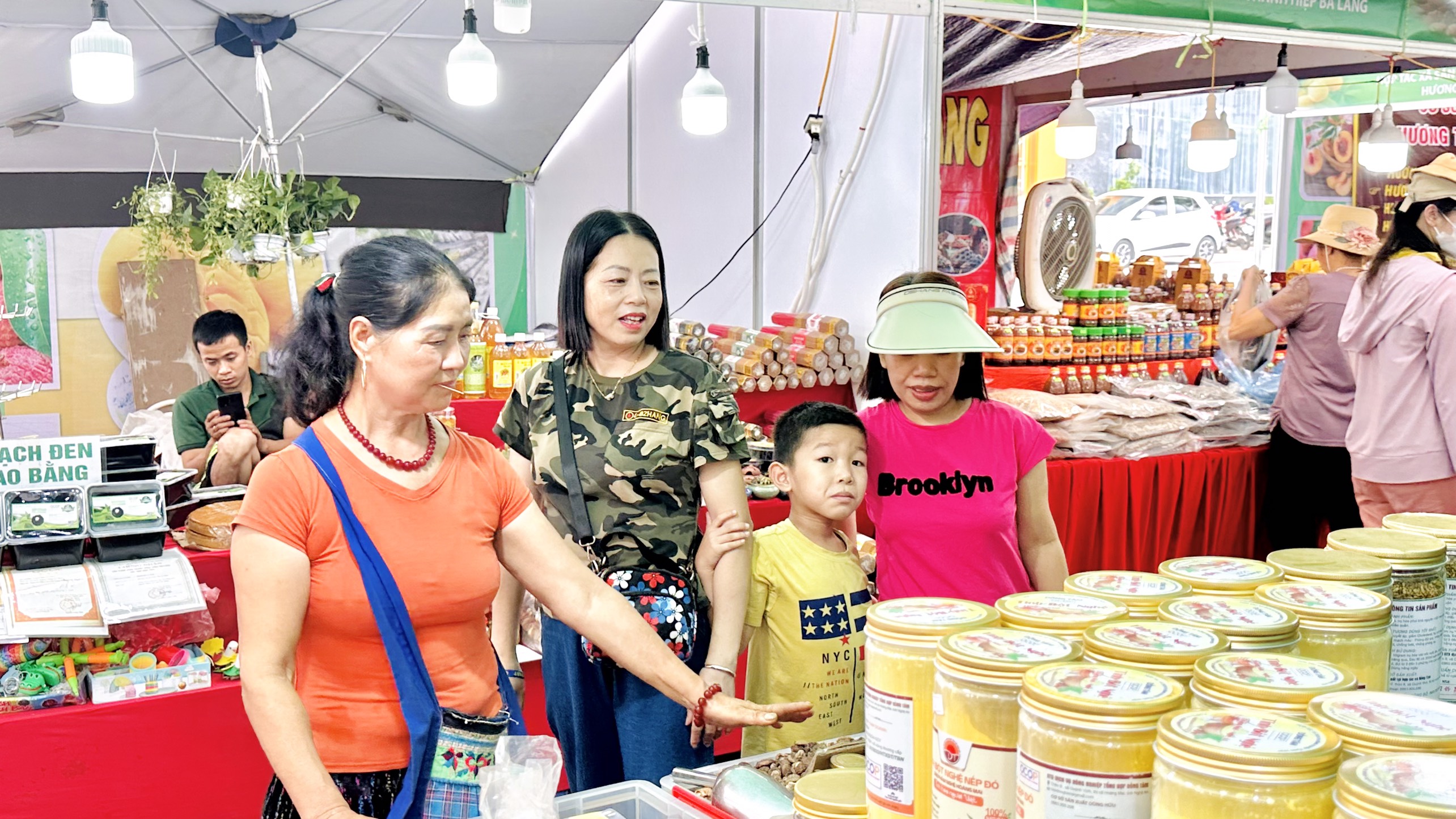 Kết nối trái cây, nông sản các tỉnh, thành phố tiêu thụ tại Thủ đô - ảnh 3