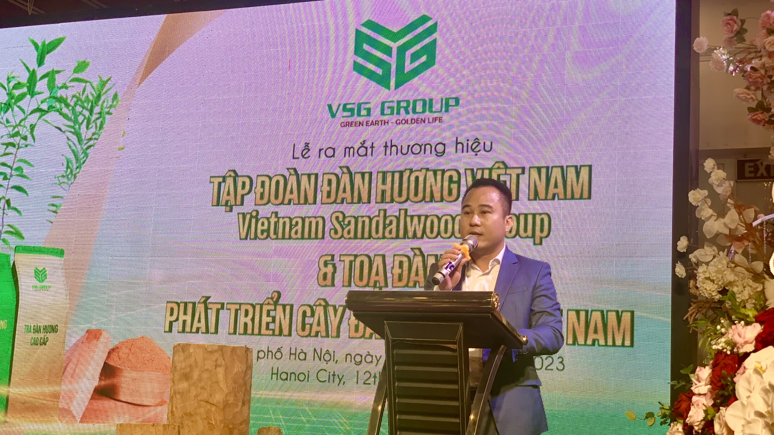 Trồng và phát triển cây đàn hương - cây “hoàng kim” có giá trị kinh tế cao - ảnh 4