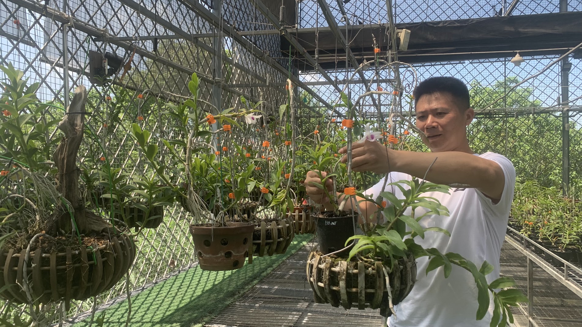 Hướng dẫn người dân Sơn Tây làm du lịch cộng đồng hiệu quả - ảnh 6