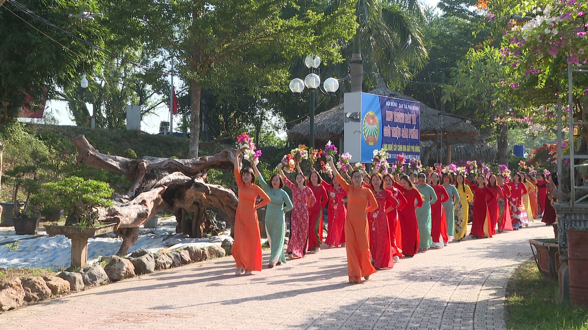 Lễ hội cây cảnh, hoa giấy Phù Đổng: Rực rỡ “Sắc hoa trên miền di sản“ - ảnh 1