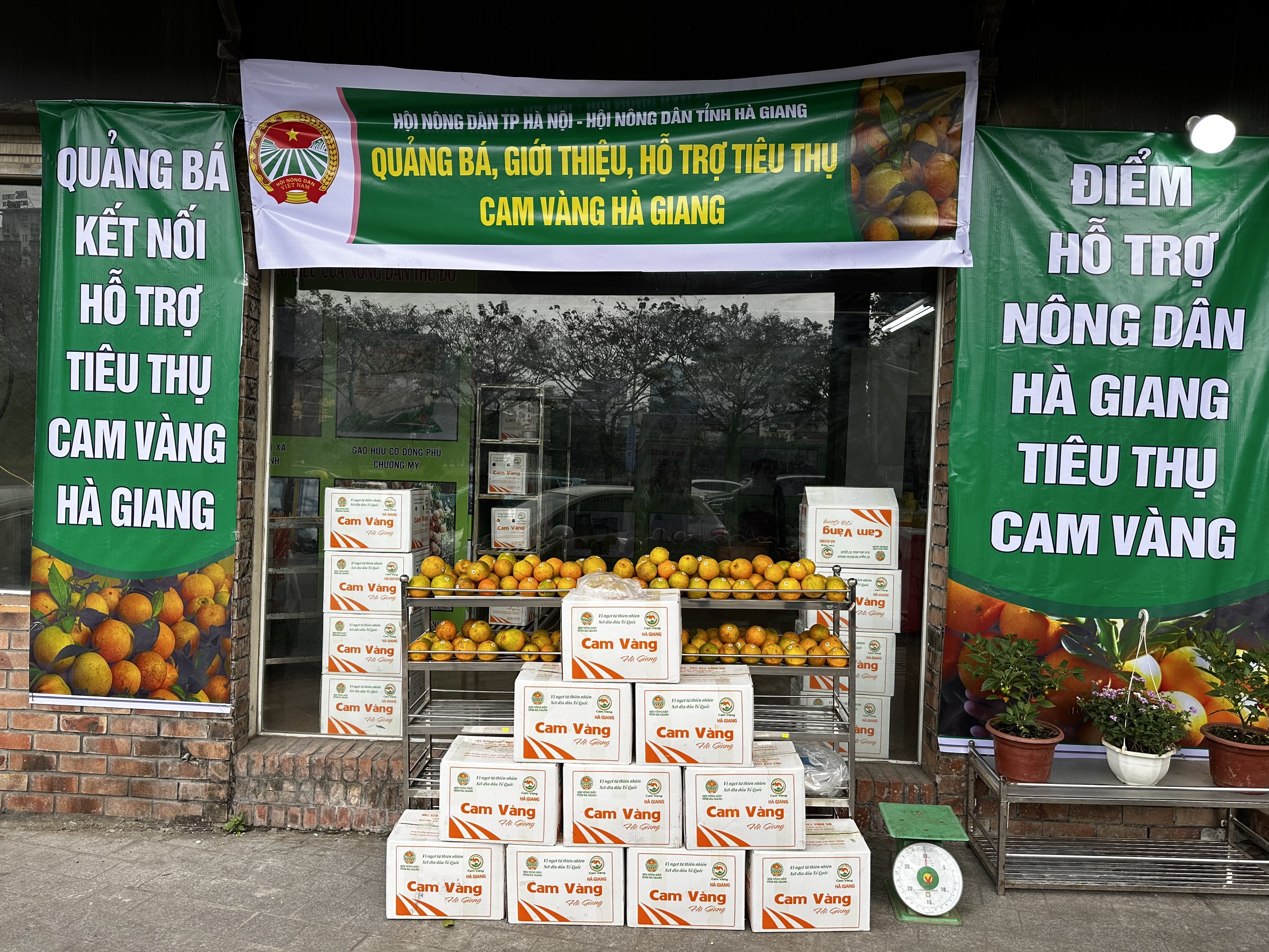 Hơn 100 sản phẩm nông nghiệp an toàn được giới thiệu với người tiêu dùng Thủ đô - ảnh 2