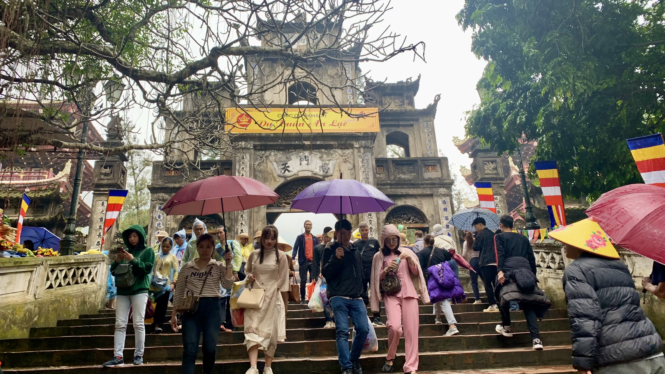 Khai hội chùa Hương, hàng nghìn người đội mưa về chiêm bái - ảnh 9