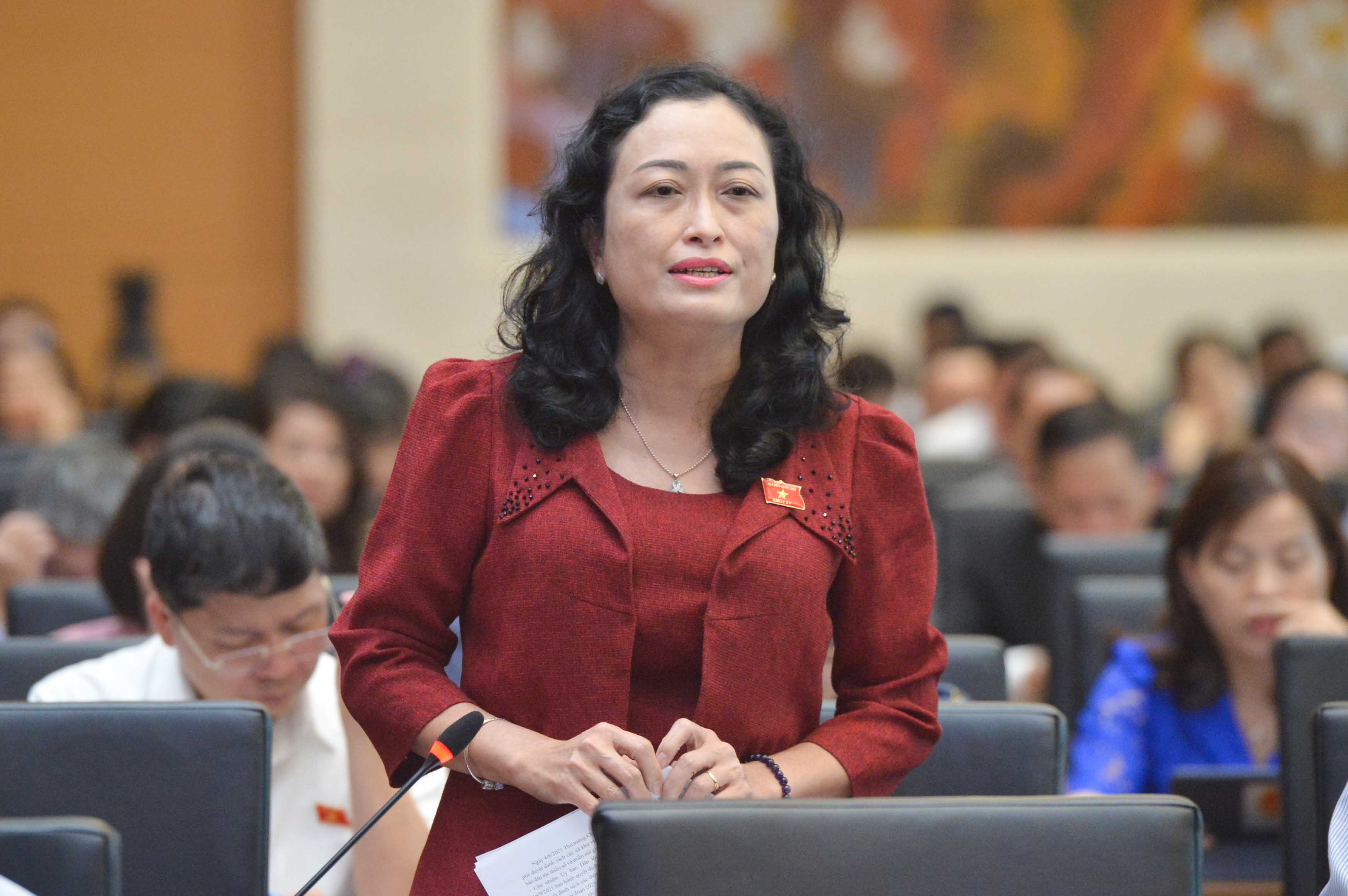 Đề nghị lùi thông qua Luật BHXH sau thời điểm cải cách tổng thể tiền lương - ảnh 3