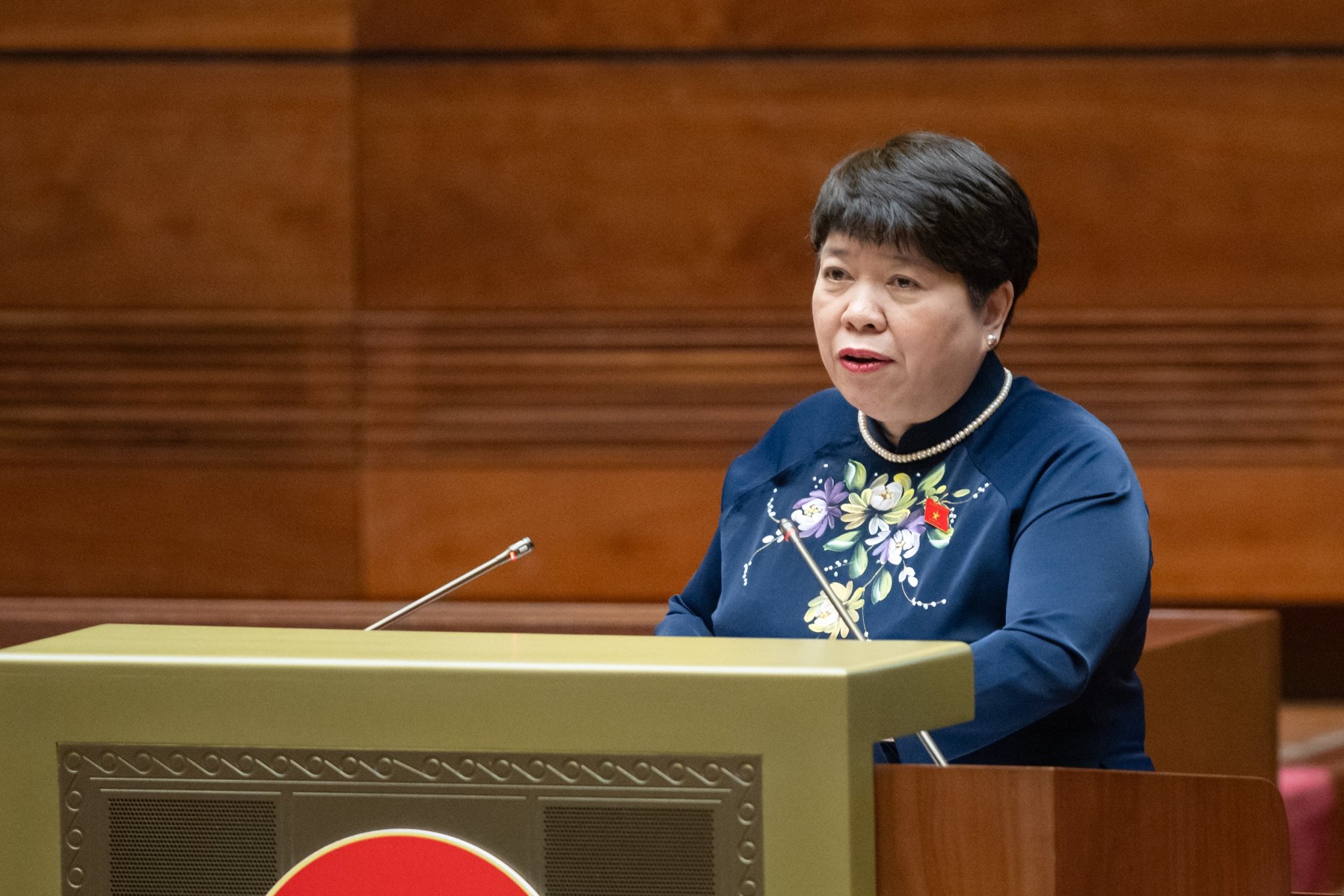 Phụ nữ tham gia ngày càng nhiều hơn vào quá trình hoạch định chính sách - ảnh 3