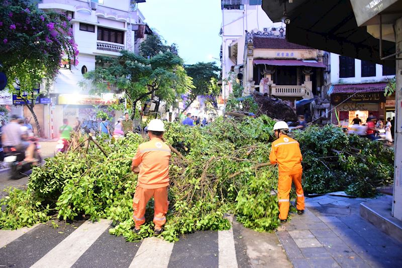 Đảm bảo nguồn điện an toàn, liên tục và ổn định trên địa bàn Thủ đô  - ảnh 2