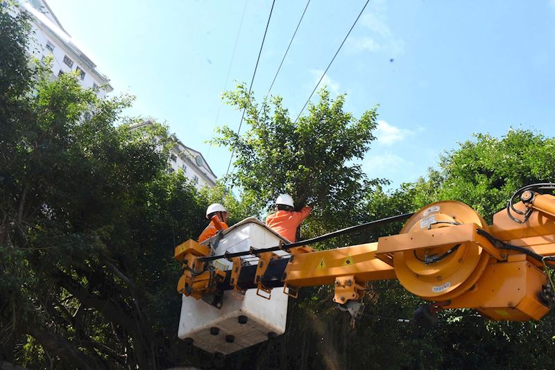 Cung ứng hàng hóa, dự trữ hàng hóa thiết yếu ứng phó với bão số 3 - ảnh 2