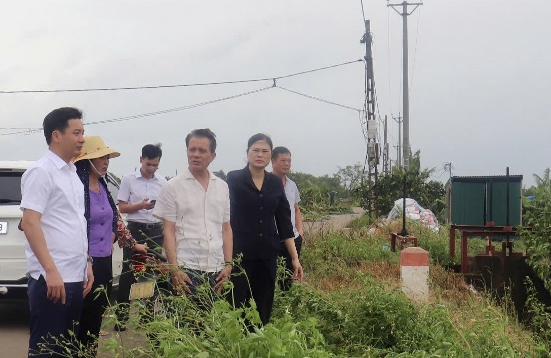 Gia Lâm: Đồng chí Hoàng Trọng Quyết kiểm tra công tác khắc phục hậu quả bão số 3 - ảnh 1