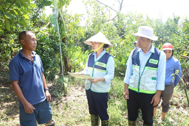 Khuyến nông Thủ đô cùng nông dân tái phục hồi sản xuất - ảnh 1