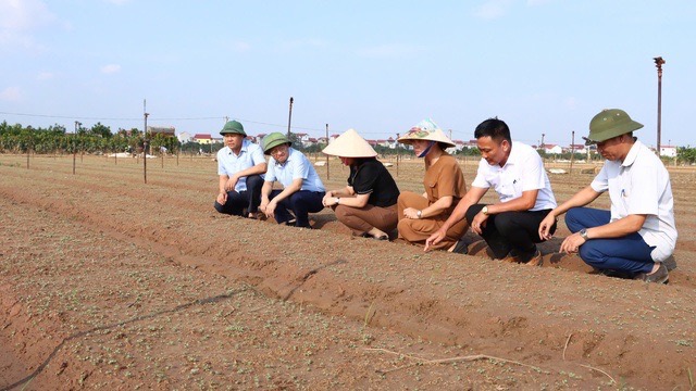 Ở đâu có nông dân, ở đó có khuyến nông - ảnh 1