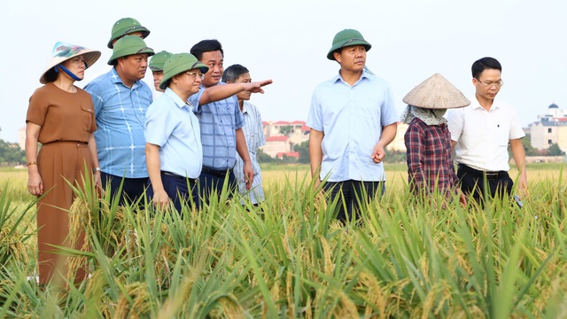 Ở đâu có nông dân, ở đó có khuyến nông - ảnh 3