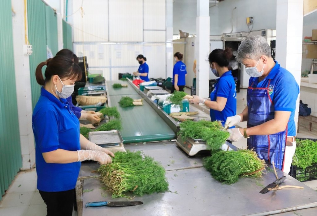 Ở đâu có nông dân, ở đó có khuyến nông - ảnh 2