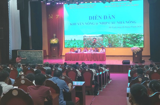 Nhịp cầu nhà nông nâng cao kỹ thuật canh tác cho nông dân Mê Linh - ảnh 2