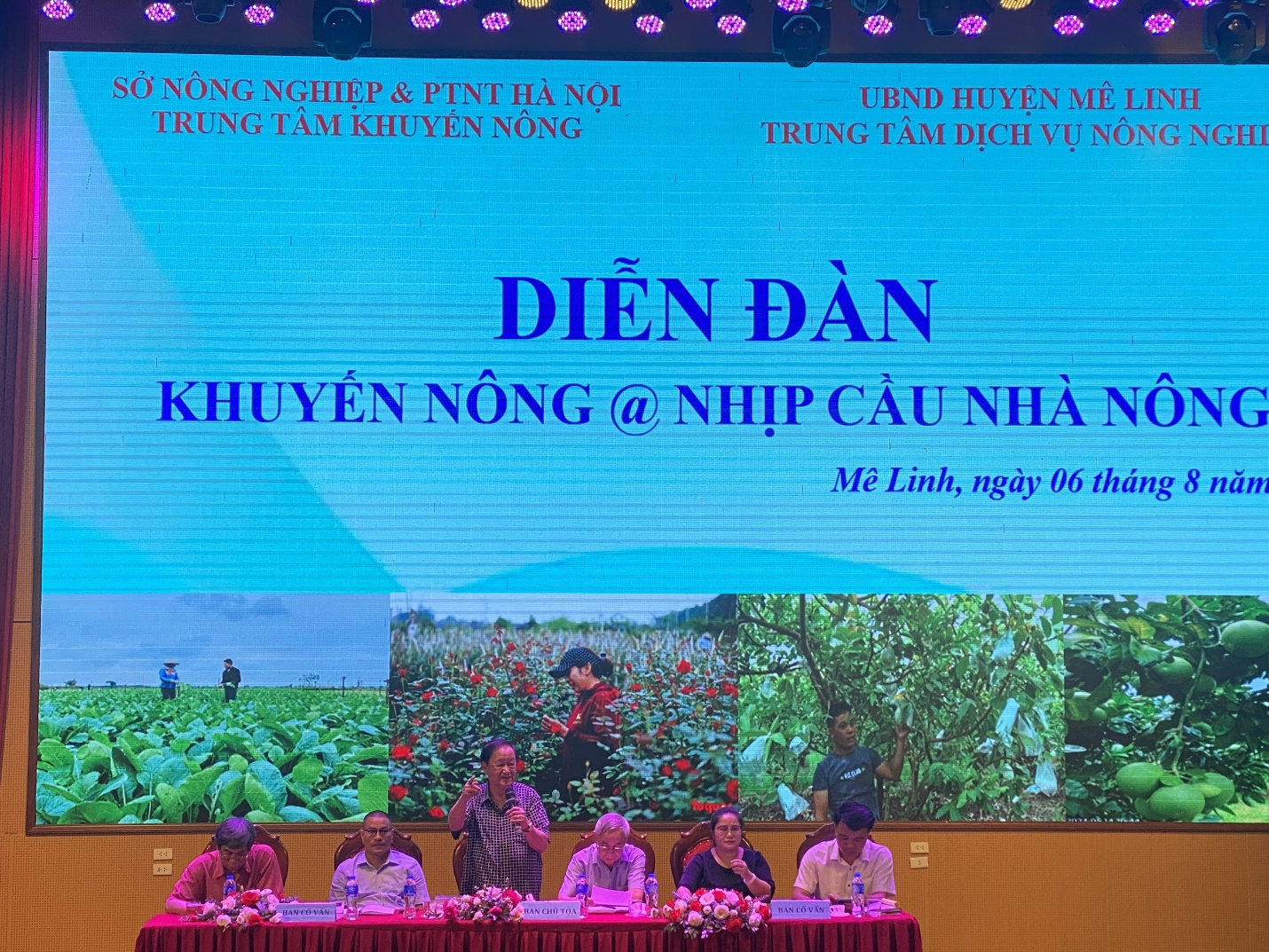 Nhịp cầu nhà nông nâng cao kỹ thuật canh tác cho nông dân Mê Linh - ảnh 3