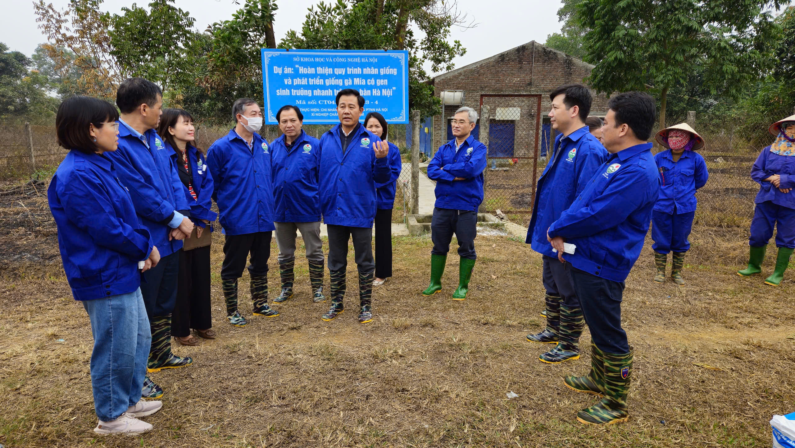 Hà Nội tập trung phát triển chăn nuôi bền vững, giảm chăn nuôi trong khu dân cư - ảnh 2