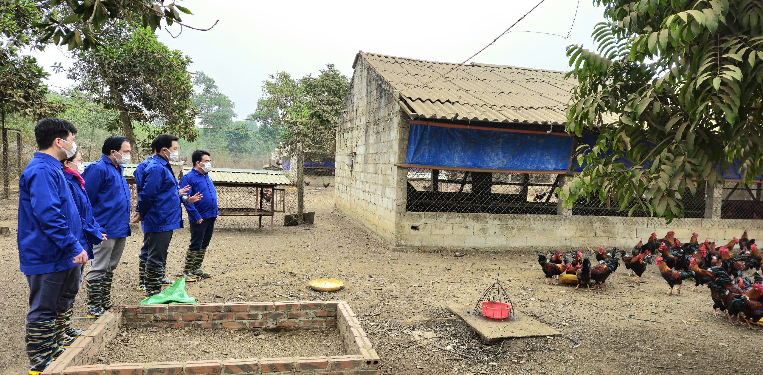 Hà Nội tập trung phát triển chăn nuôi bền vững, giảm chăn nuôi trong khu dân cư - ảnh 3