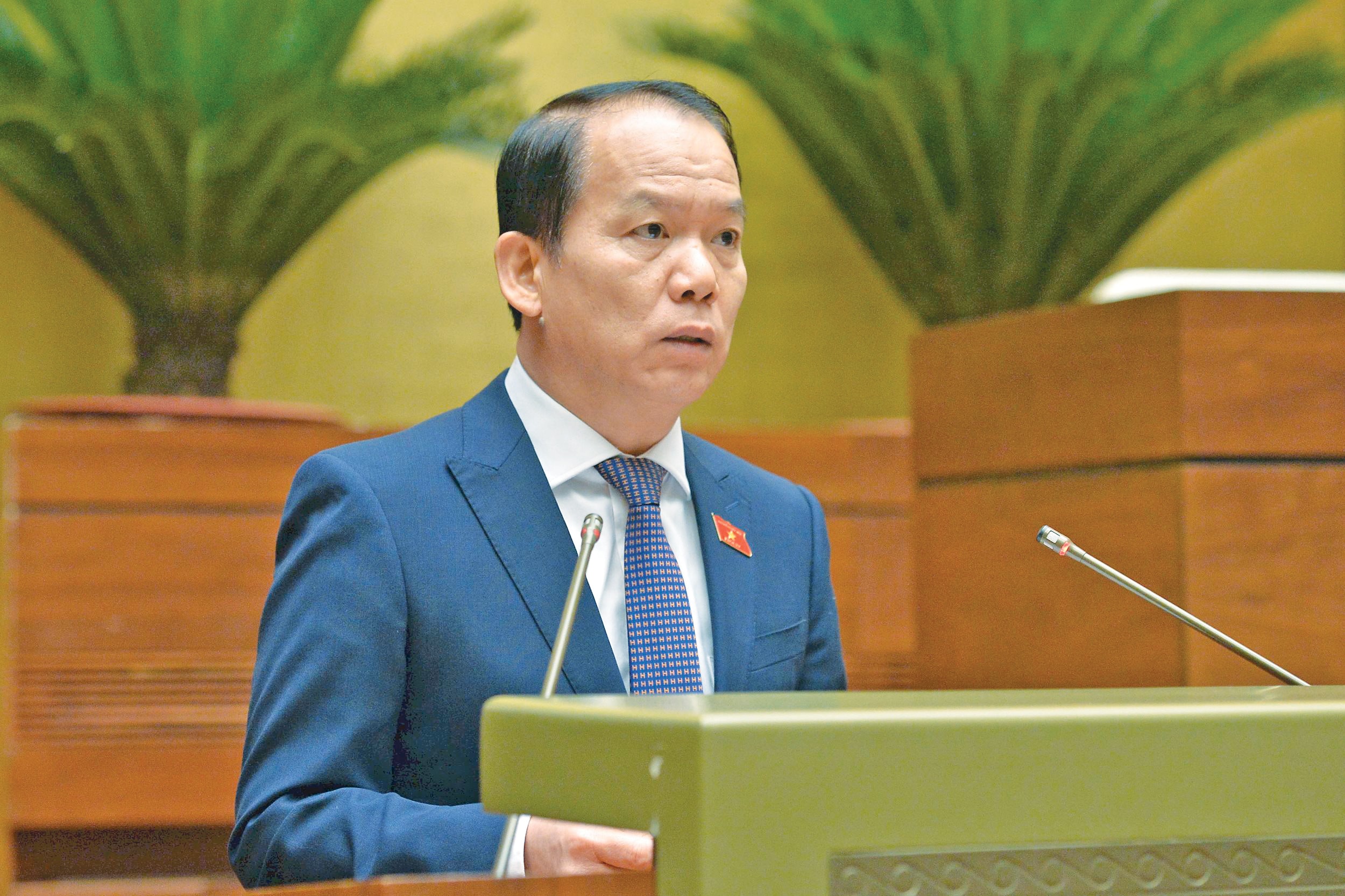 Quốc hội bắt đầu sửa Luật Thanh tra - ảnh 2