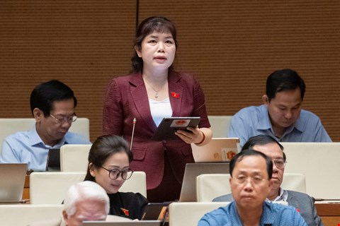 Tăng cường phân cấp cho doanh nghiệp - ảnh 2