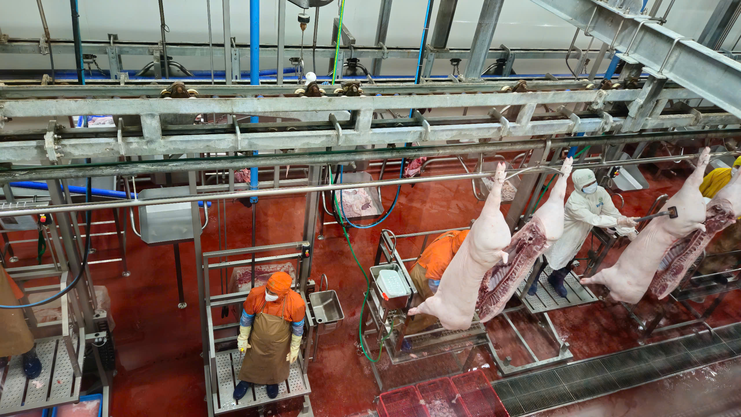 Hà Nội kiểm tra hoạt động giết mổ lợn tại Công ty CP Việt Nam chi nhánh Chương Mỹ - ảnh 9