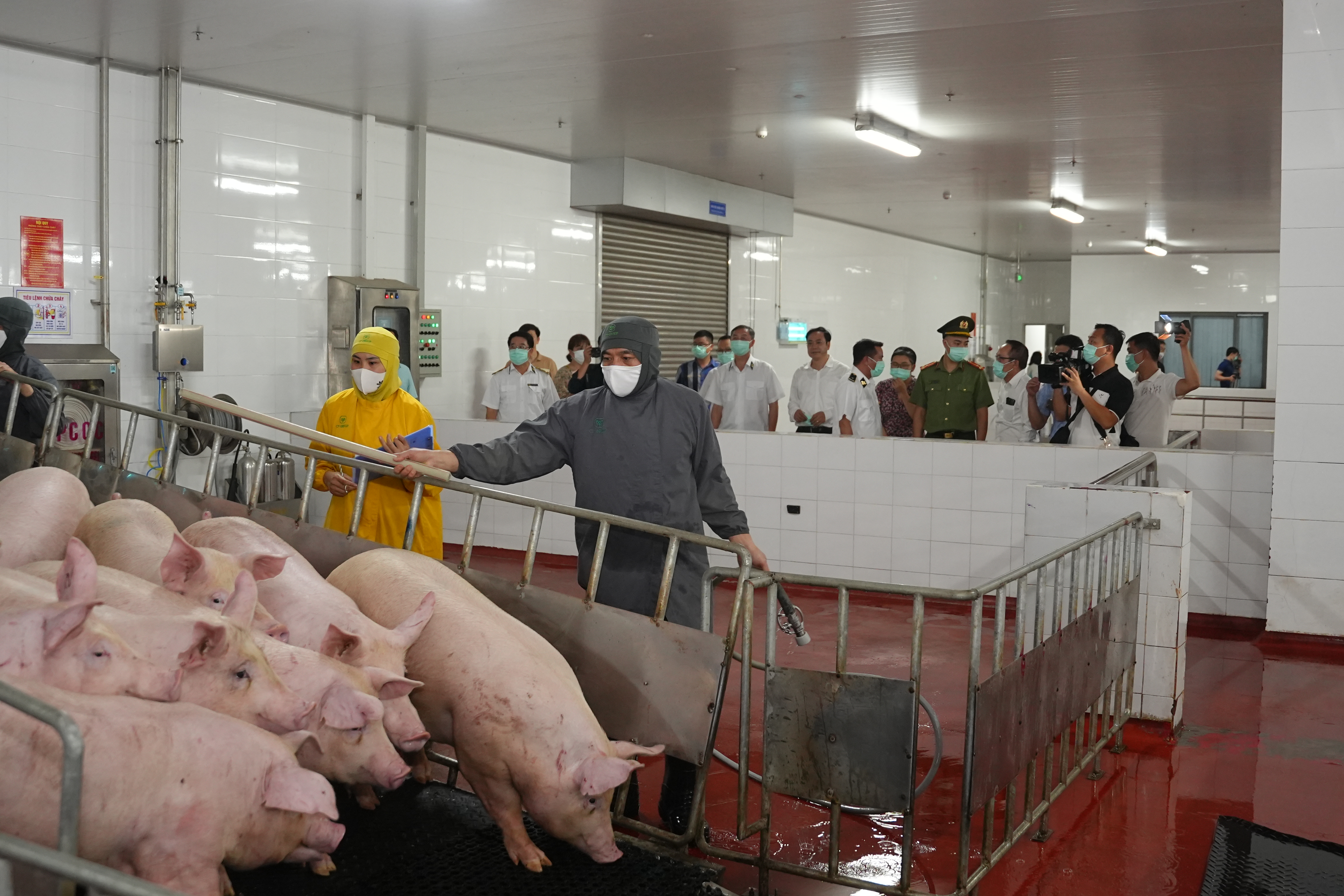 Hà Nội kiểm tra hoạt động giết mổ lợn tại Công ty CP Việt Nam chi nhánh Chương Mỹ - ảnh 6