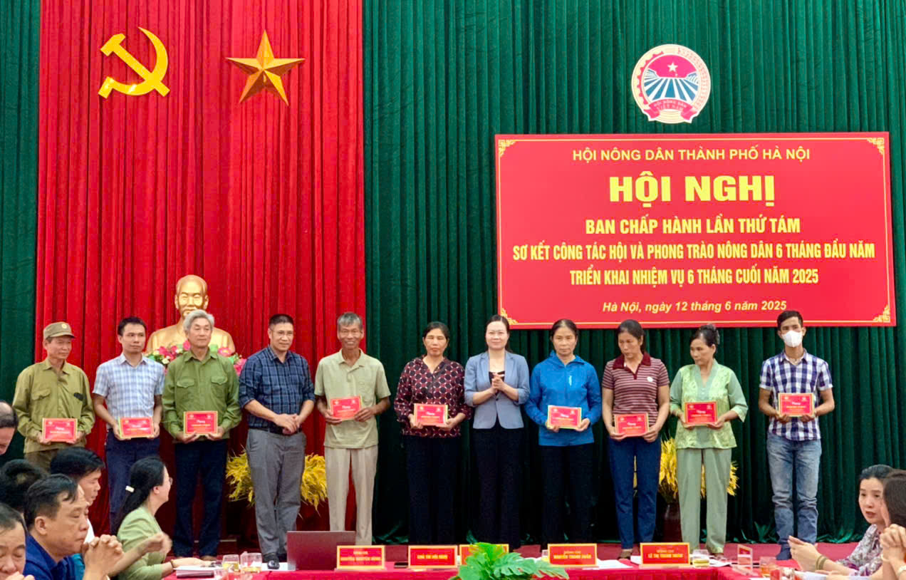 Hội Nông dân TP Hà Nội: Đồng hành cùng nông dân trong phát triển kinh tế - ảnh 2