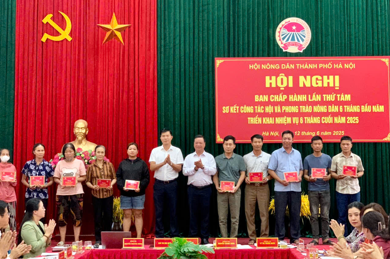 Hội Nông dân TP Hà Nội: Đồng hành cùng nông dân trong phát triển kinh tế - ảnh 3