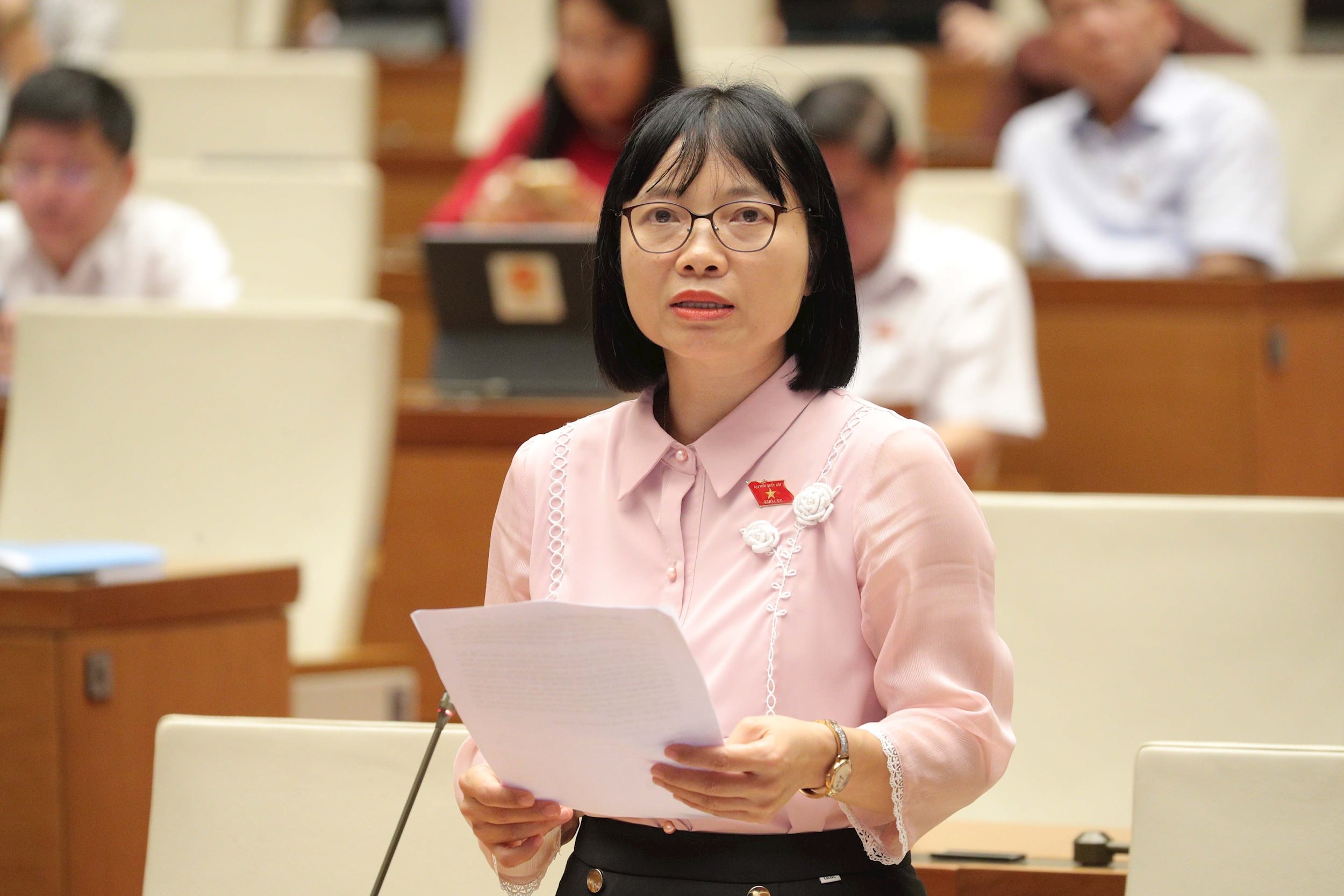 Văn bản quy phạm pháp luật của HĐND, UBND cấp huyện phải hết hiệu lực cùng thời điểm không còn cấp huyện - ảnh 2