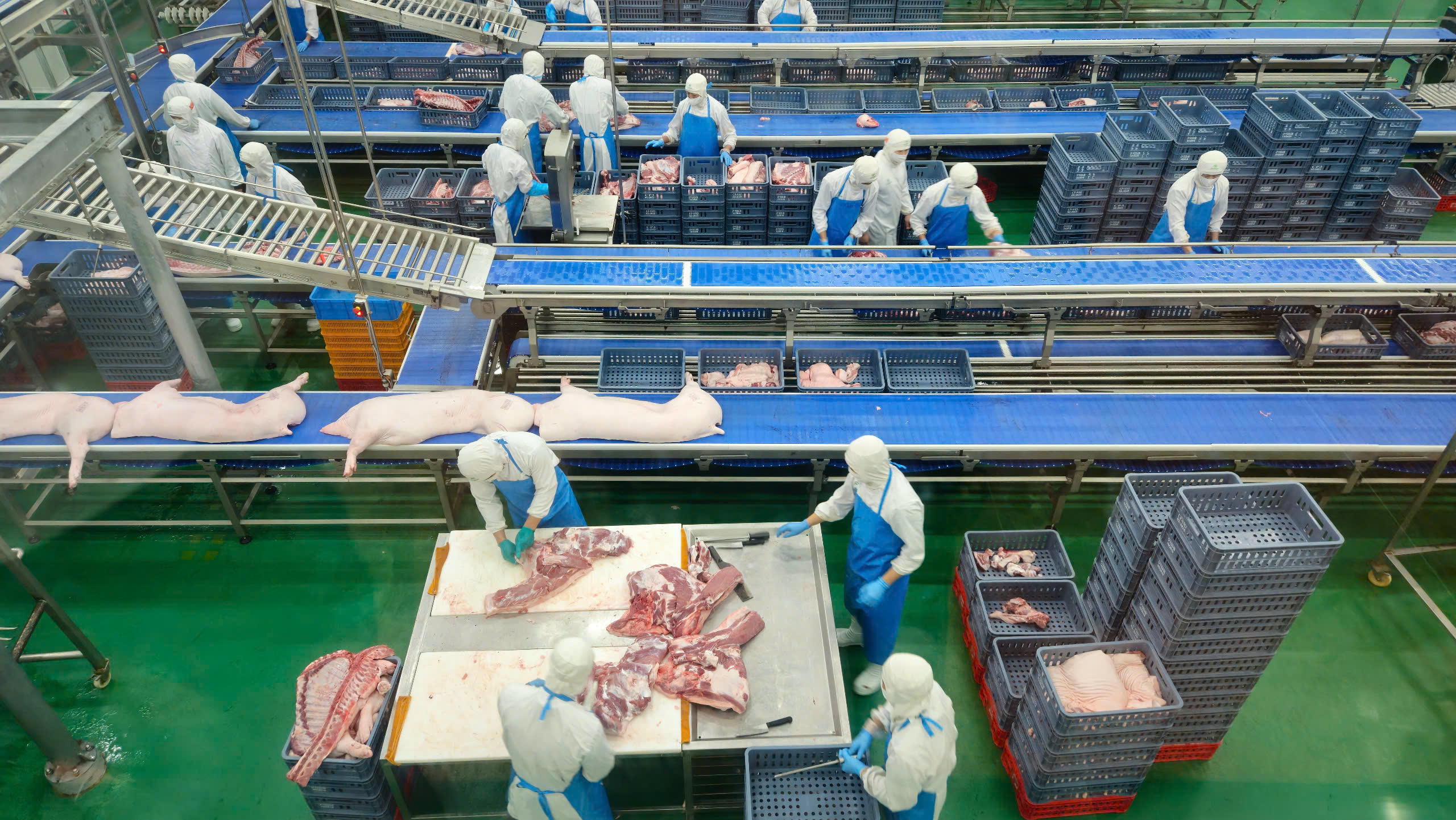 Hà Nội kiểm tra hoạt động giết mổ lợn tại Công ty CP Việt Nam chi nhánh Chương Mỹ - ảnh 10