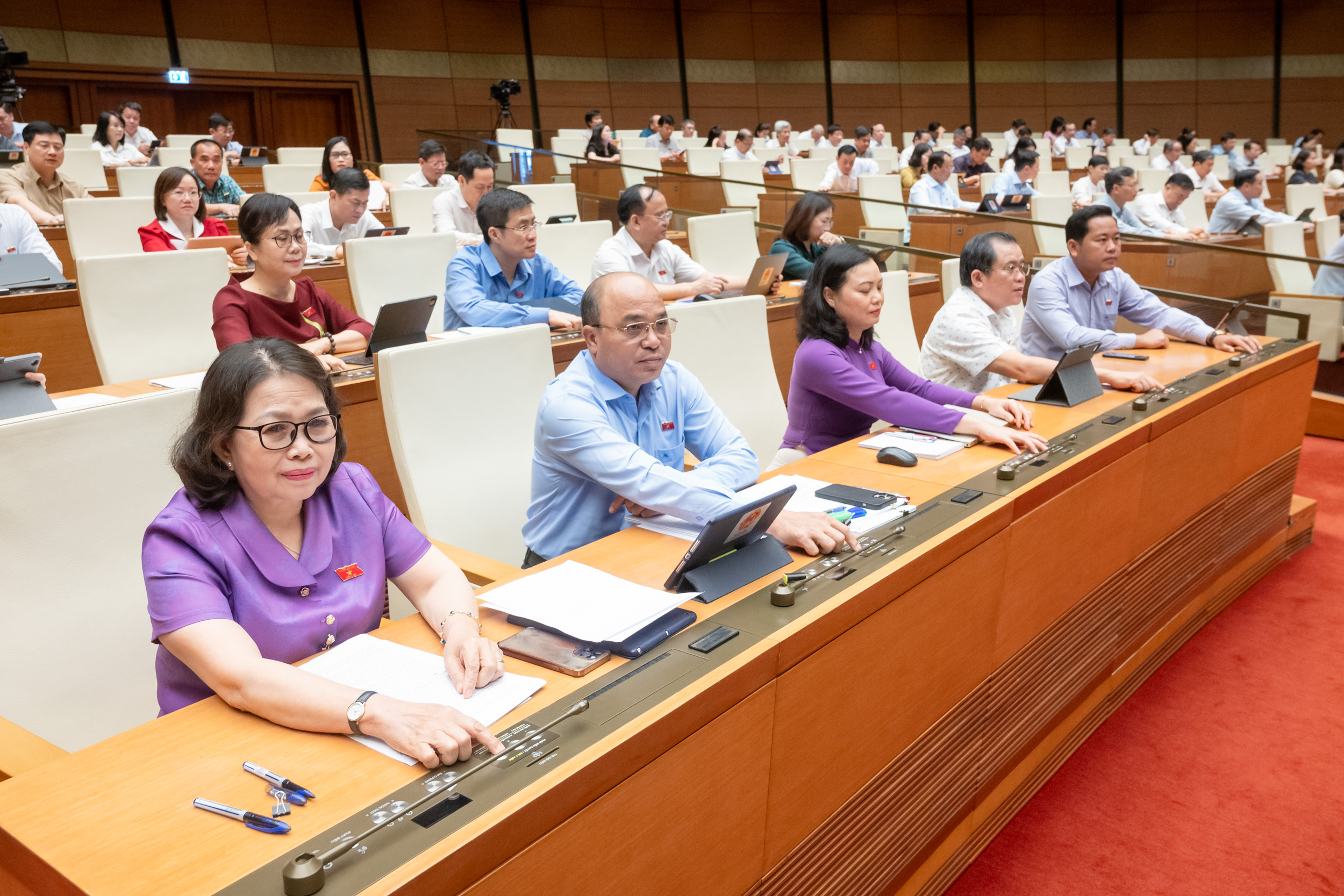 Quốc hội thông qua Luật Thuế Tiêu thụ đặc biệt - ảnh 3