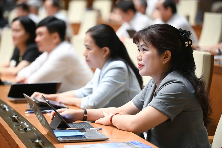 Tạo cơ sở pháp lý đồng bộ để thực hiện mô hình chính quyền địa phương 2 cấp - ảnh 2