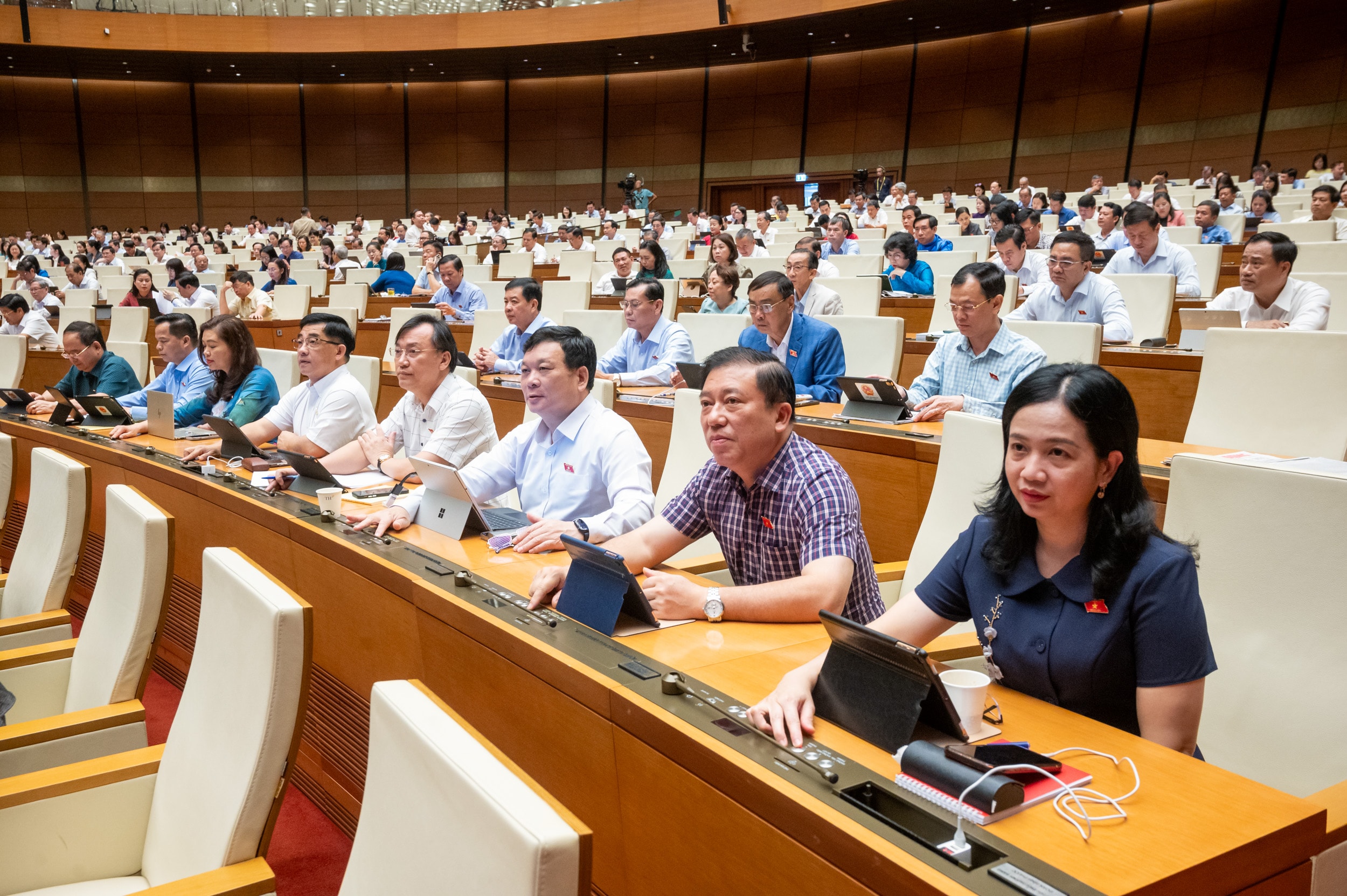 Quốc hội thông qua Luật sửa đổi, bổ sung một số điều của Luật Doanh nghiệp - ảnh 3