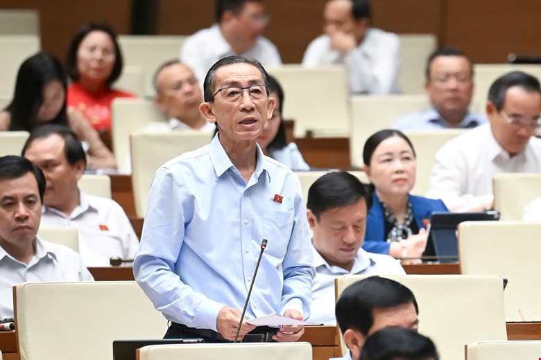 Cần thiết lập khung pháp lý linh hoạt cho các mô hình kinh doanh số mới - ảnh 1