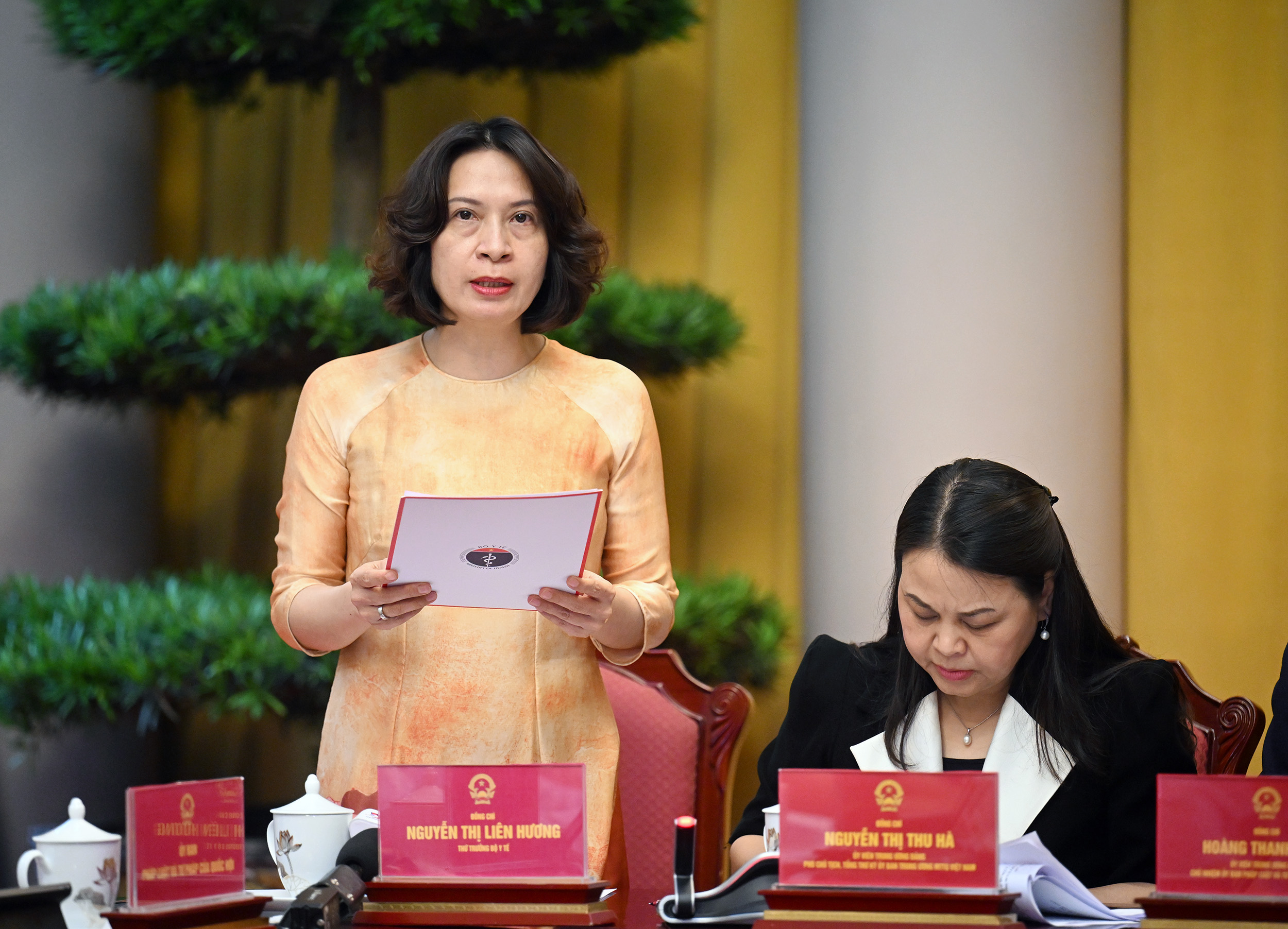Công bố Lệnh của Chủ tịch nước về Nghị quyết sửa đổi, bổ sung một số điều của Hiến pháp - ảnh 4