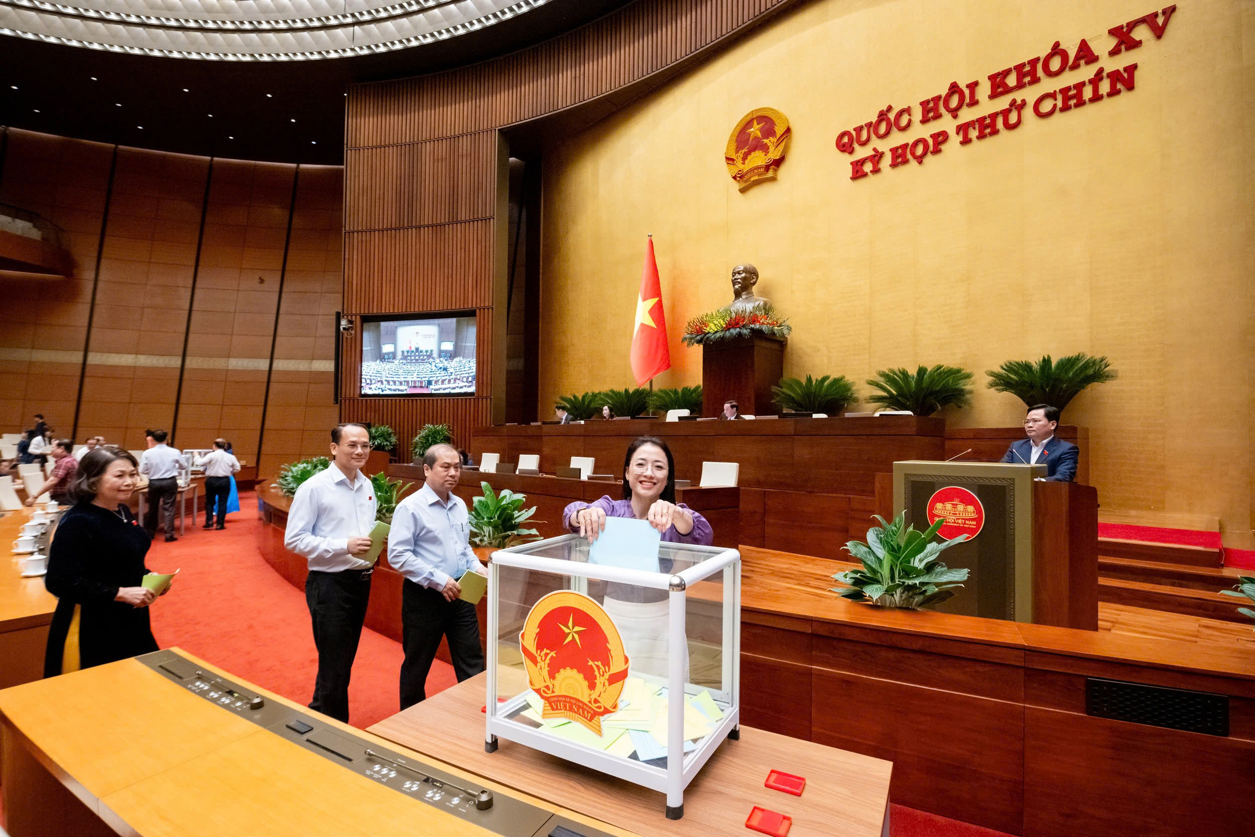 Đồng chí Lâm Văn Mẫn giữ chức Chủ tịch Hội đồng Dân tộc của Quốc hội - ảnh 2