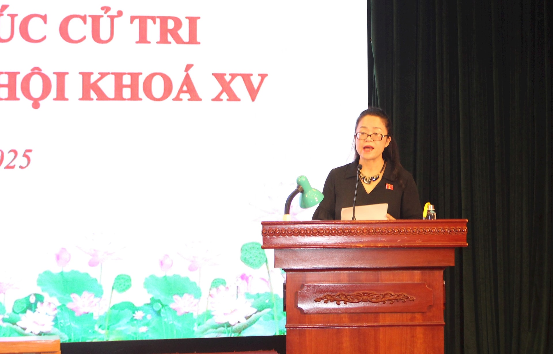 Cử tri kiến nghị gặp nhiều khó khăn, vướng mắc thủ tục hành chính do quy hoạch vụ thoát lũ - ảnh 1