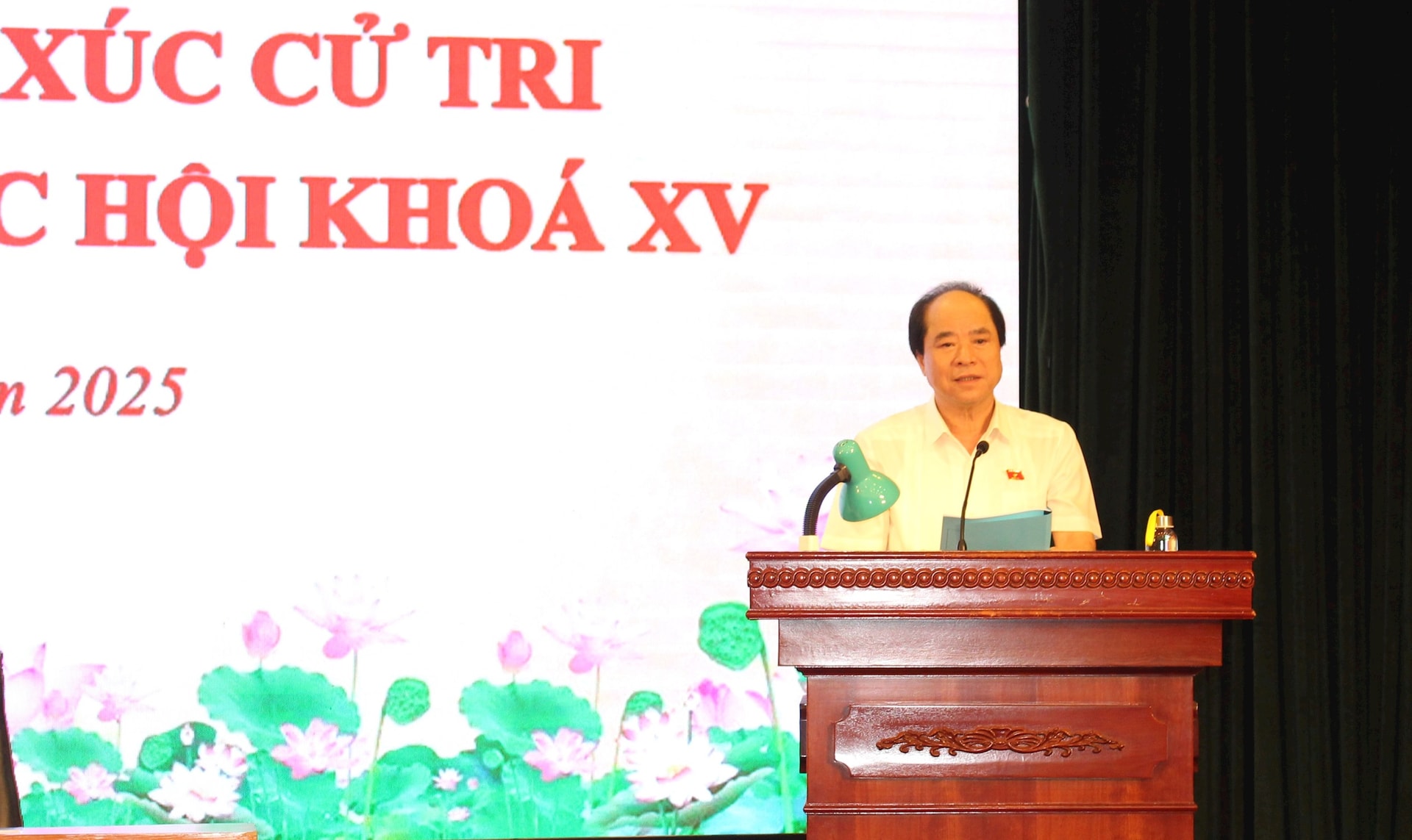 Cử tri kiến nghị gặp nhiều khó khăn, vướng mắc thủ tục hành chính do quy hoạch vụ thoát lũ - ảnh 5