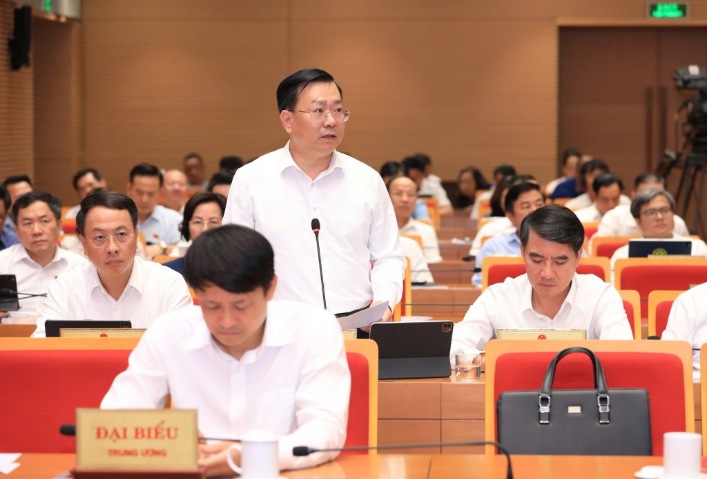 Giám đốc Sở Công Thương Võ Nguyên Phong trả lời chất vấn về quản lý chợ cóc - ảnh 1