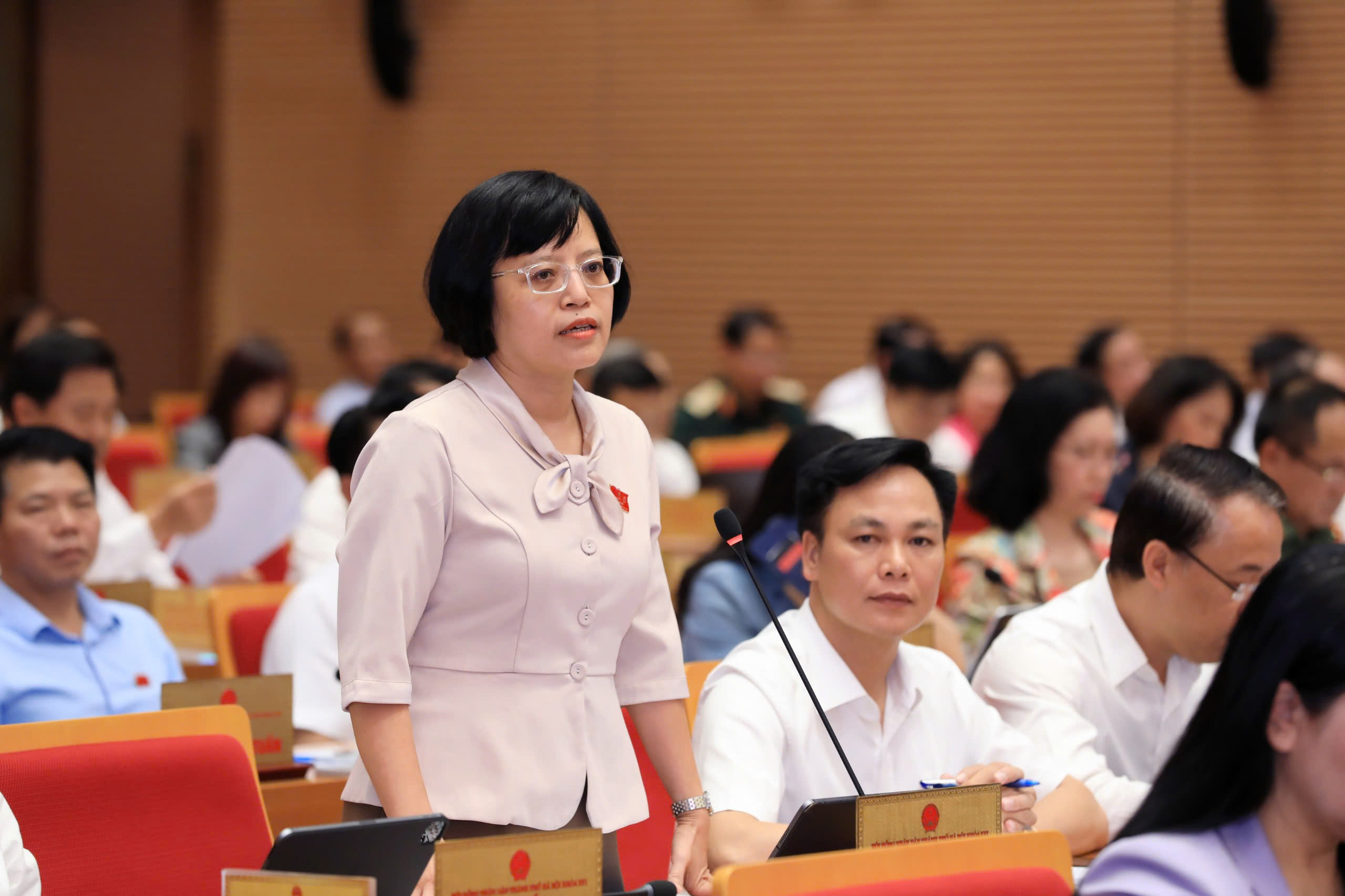 Lãnh đạo thành phố Hà Nội làm rõ vấn đề quản lý, sử dụng tài sản công - ảnh 1