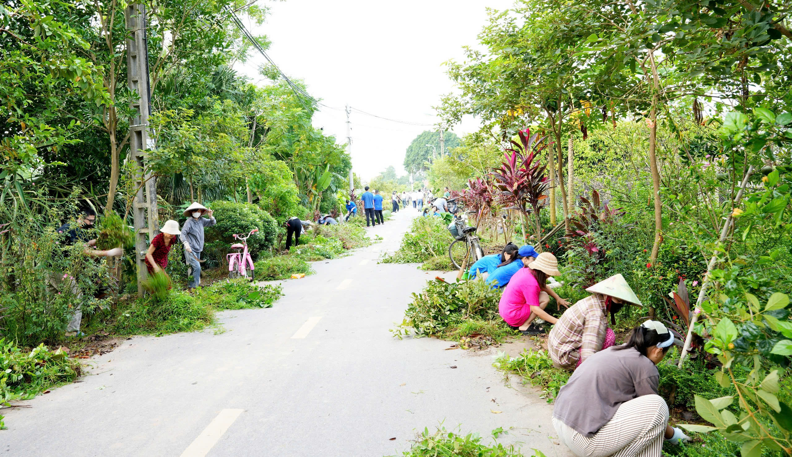 Phường Sơn Tây ra quân làm sạch môi trường, sáng xanh, sạch, văn minh - ảnh 5