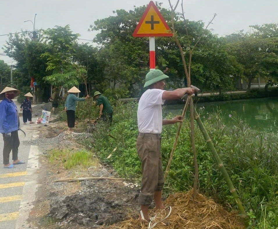 Nông dân xã Ứng Hoà trồng cây chào mừng đại hội Đảng bộ xã và đại hội các đoàn thể - ảnh 4