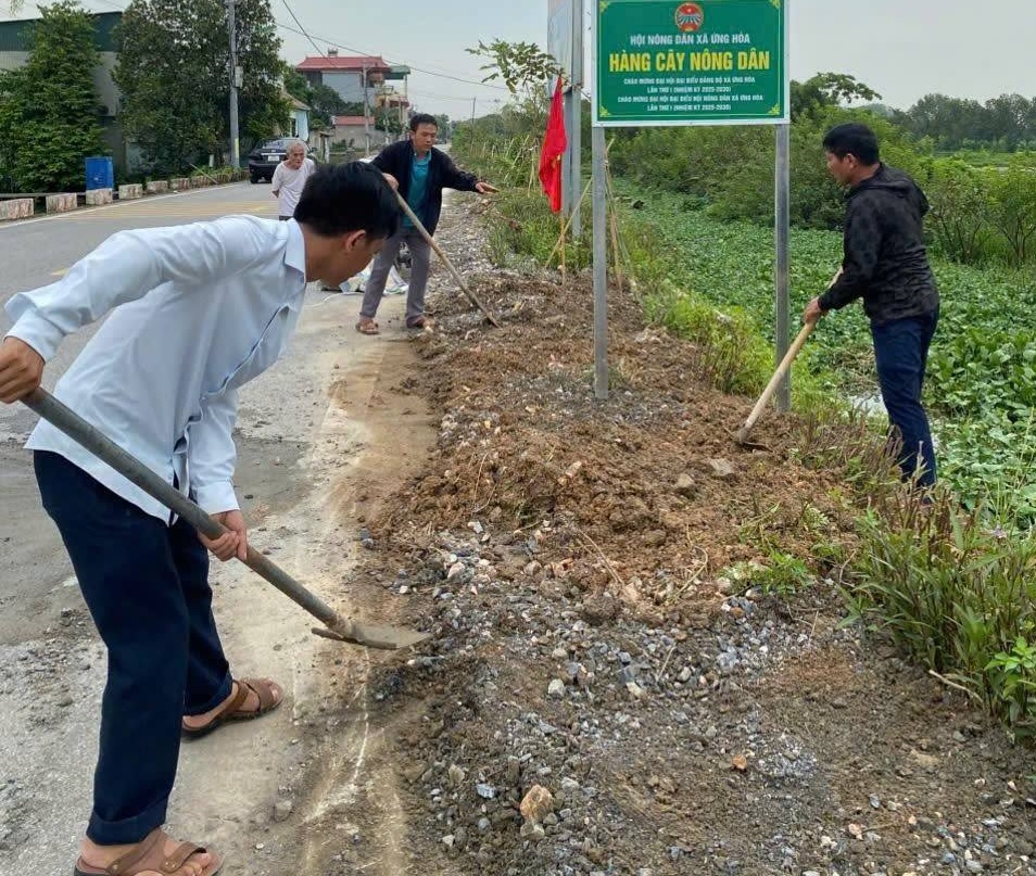 Nông dân xã Ứng Hoà trồng cây chào mừng đại hội Đảng bộ xã và đại hội các đoàn thể - ảnh 3
