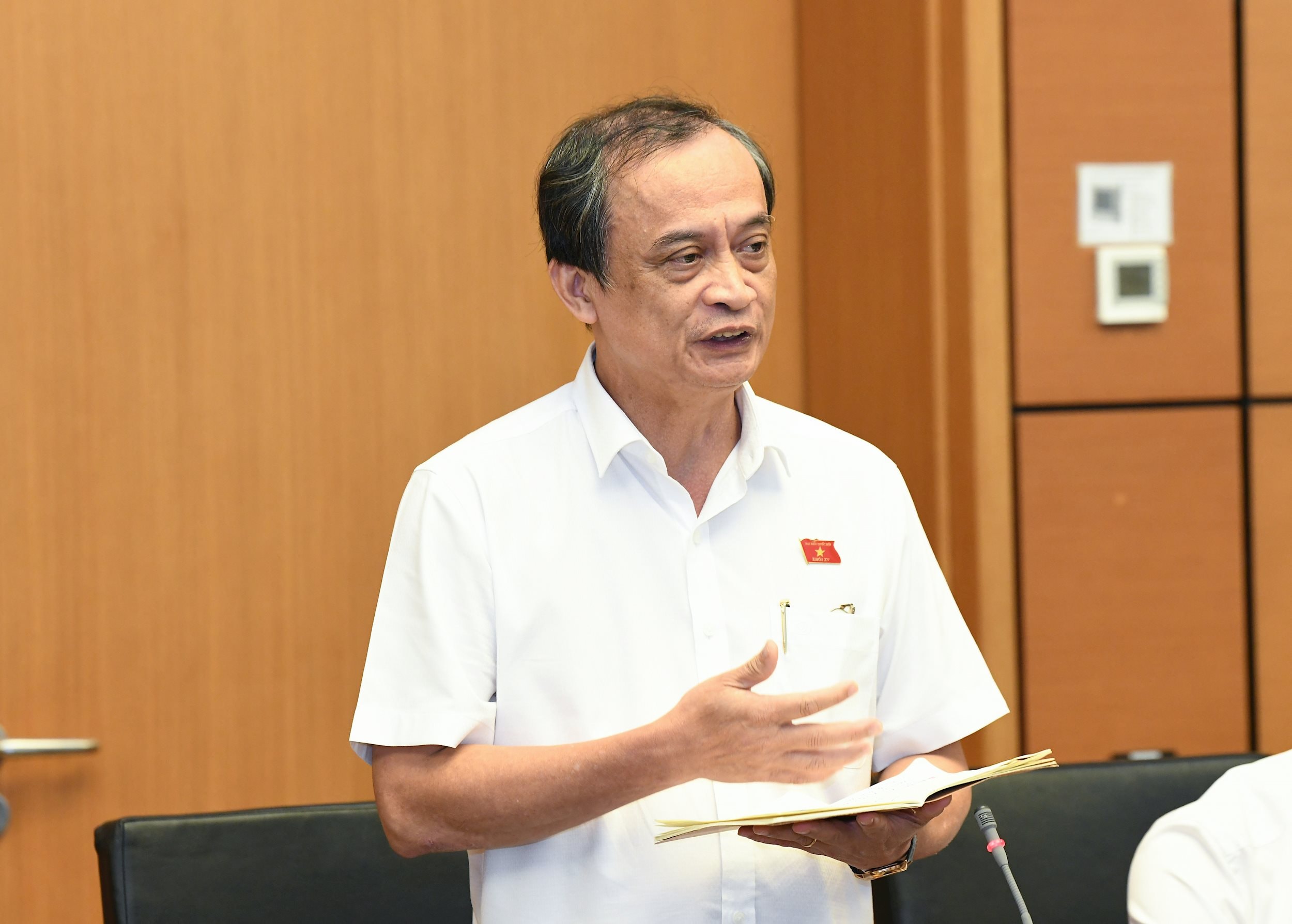 Việt Nam chỉ nên có trường đại học và đại học, nếu đại học vùng là cấp trung gian thì cần xoá bỏ - ảnh 1