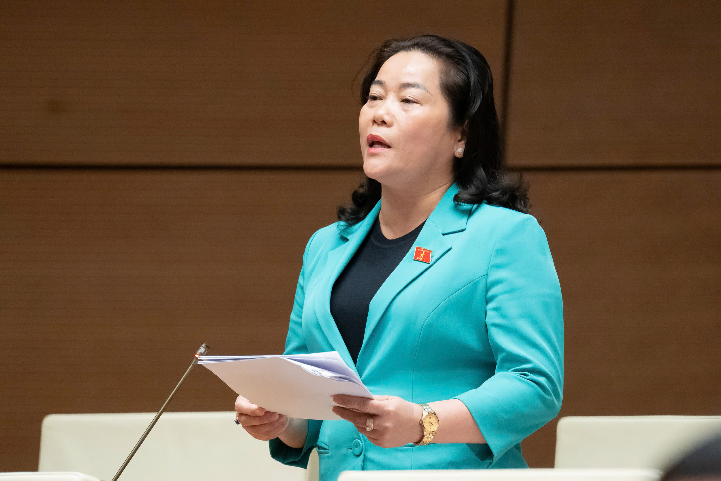 Đại biểu Quốc hội đề nghị Chính phủ có giải pháp hiệu quả để giá vàng ổn định - ảnh 2