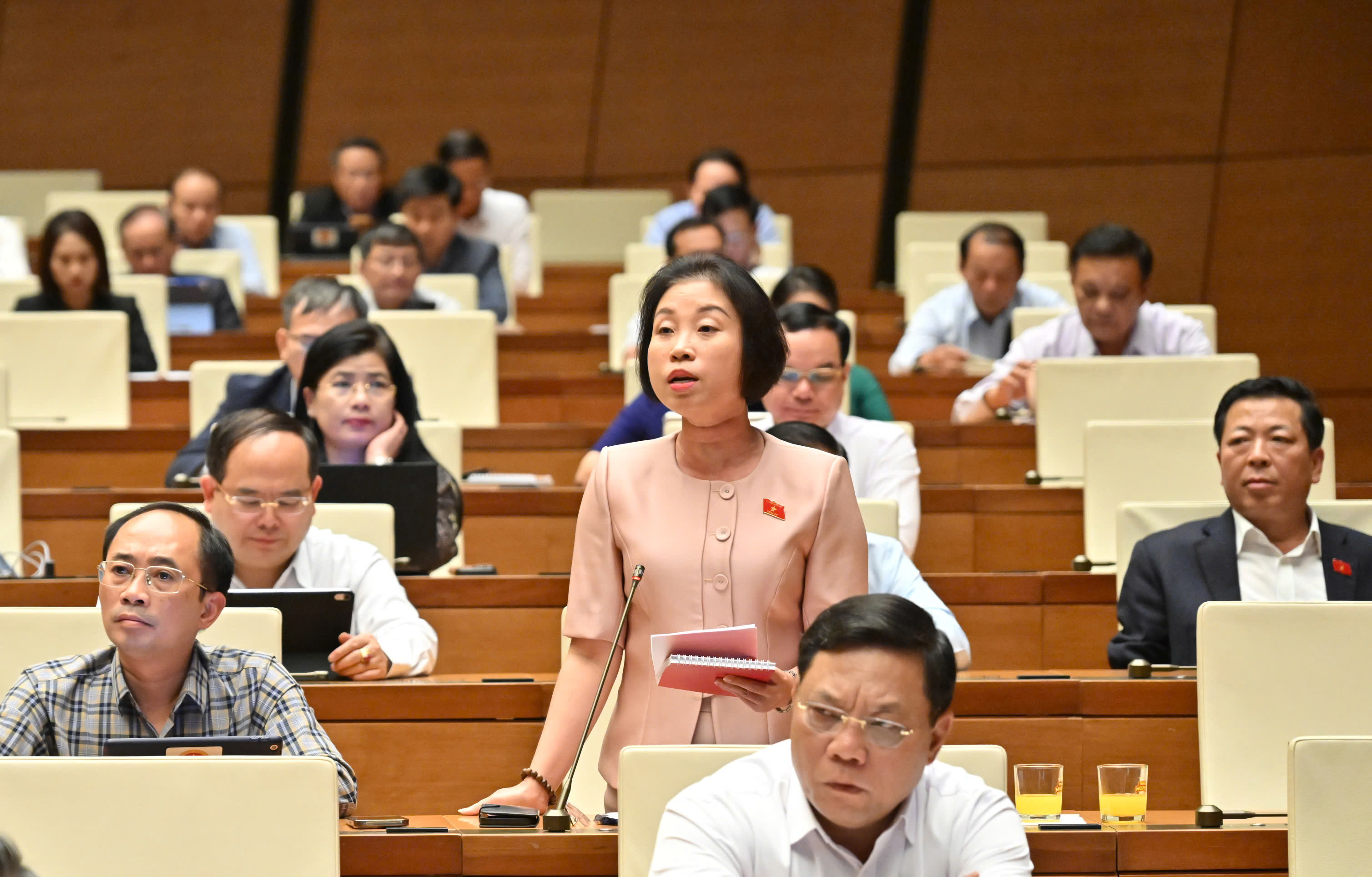 Dự án không còn hiệu quả, không phù hợp với quy hoạch và điều kiện địa phương thì mạnh dạn cho dừng - ảnh 1