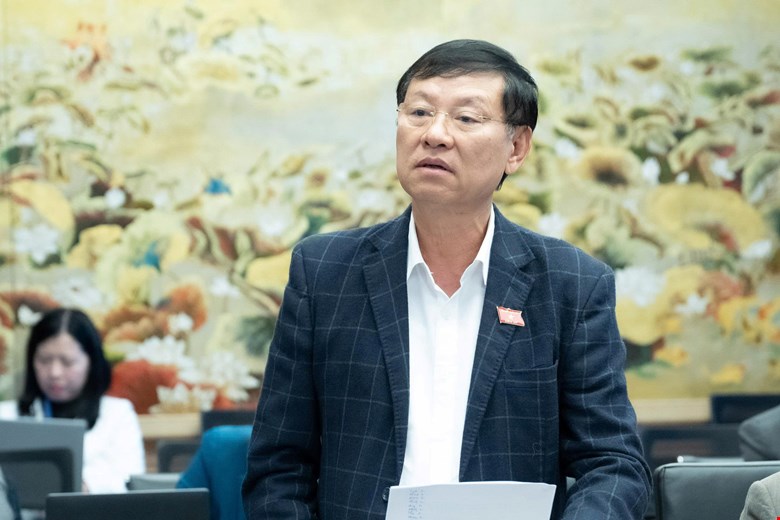 Đại biểu Quốc hội đề xuất bỏ quy định về cấp phiếu lý lịch tư pháp số 1 - ảnh 4