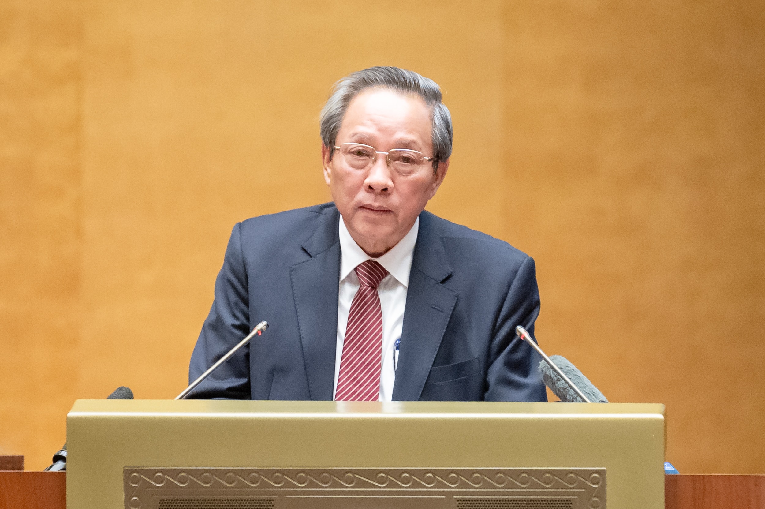 Tổ chức bầu cử sớm là tất yếu khách quan, phù hợp với thực tiễn - ảnh 1