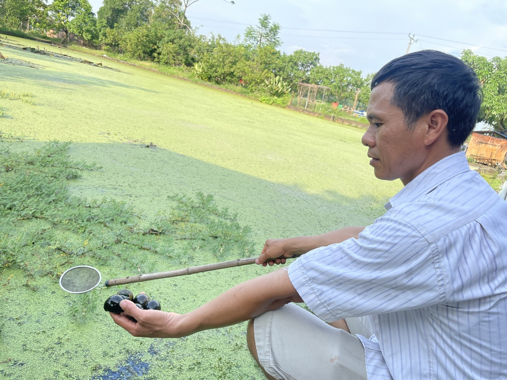 Hà Nội đồng hành cùng nông dân: Chuyển đổi sản xuất bền vững, nâng tầm nông sản Thủ đô - ảnh 3